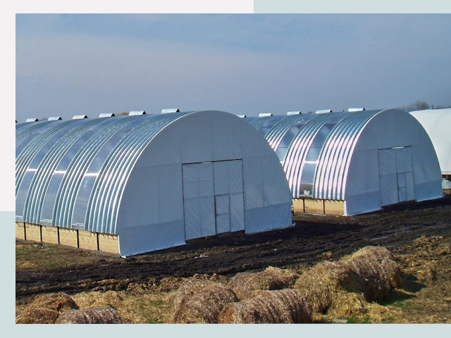 Сельскохозяйственные здания в Петергофе