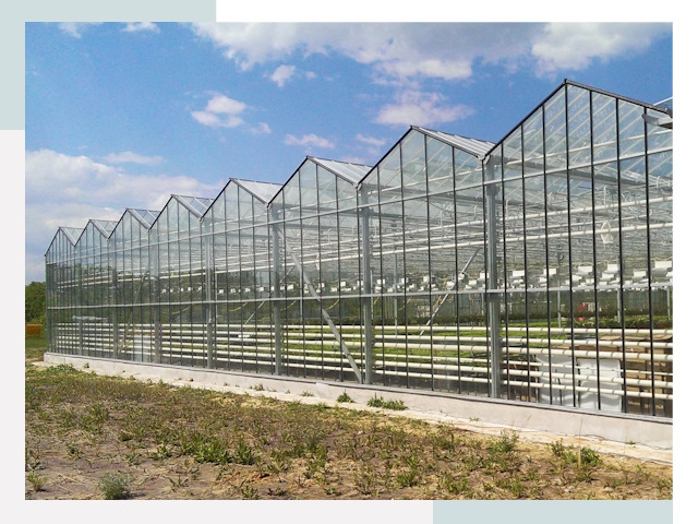 Строительство теплиц в Петергоф от 628 руб. за м²