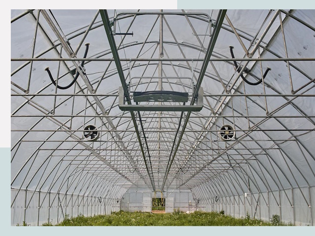 Строительство теплиц в Петергофе