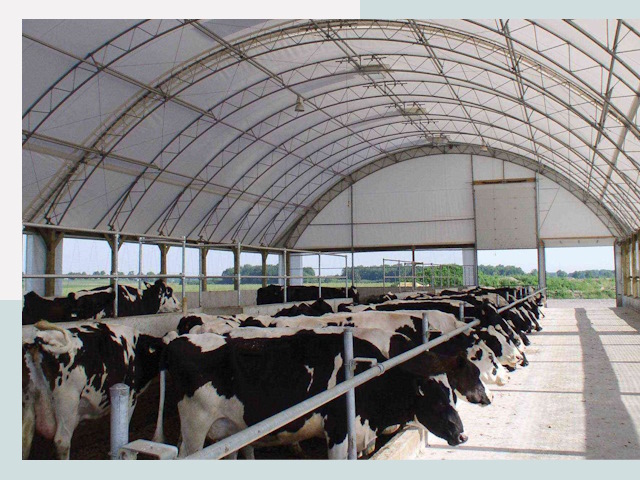 Тентовые коровники в Петергофе